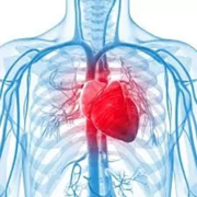Cardiovascular Risk Reduction