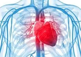 Cardiovascular Risk Reduction