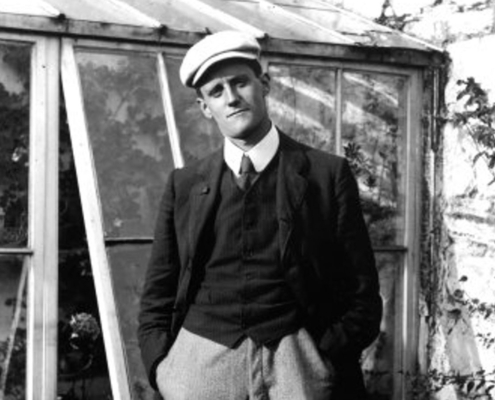 James Joyce Portrait of the Artist th
