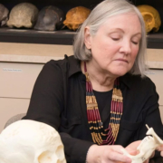 Native Americans in the Americas