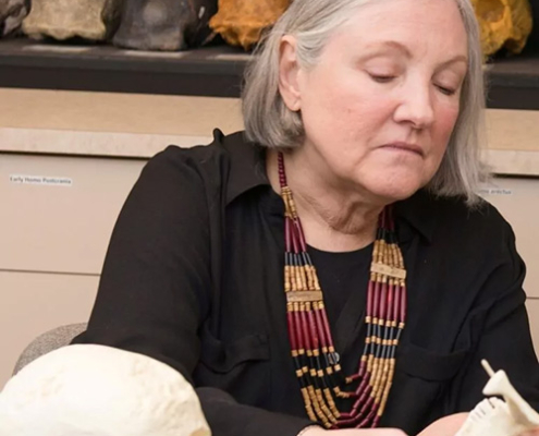 Native Americans in the Americas